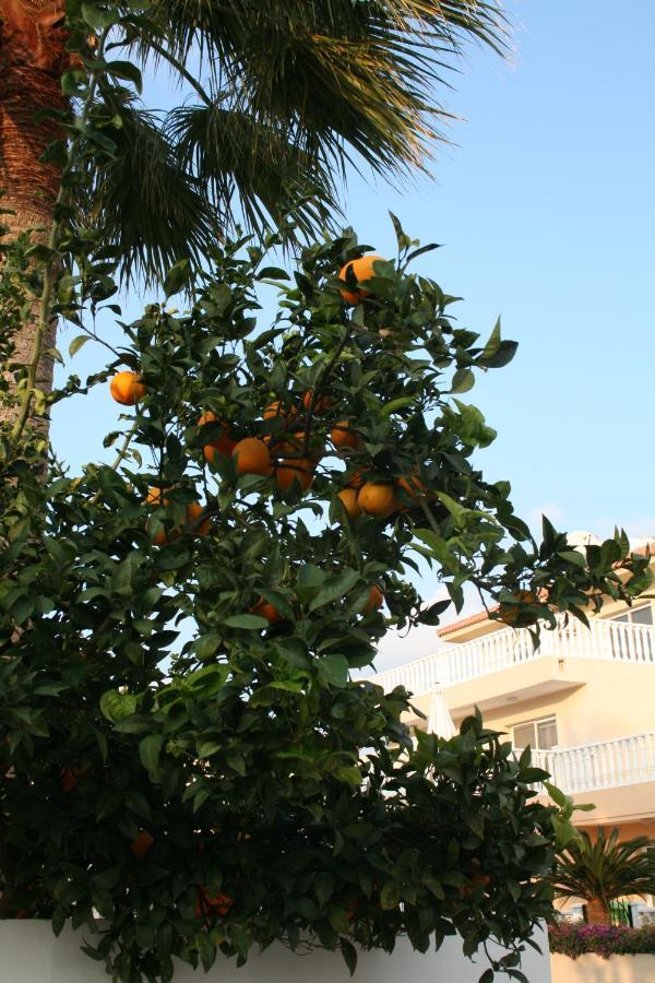 Nissi Villa Ayia Napa Exterior photo